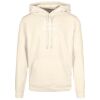 Basic hoodie Thumbnail