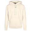 Basic hoodie Thumbnail